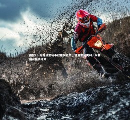 南宫28-阿森纳主场不敌维冈竞技，遭遇主场失利，阿森纳引援内维斯