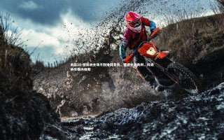 南宫28-阿森纳主场不敌维冈竞技，遭遇主场失利，阿森纳引援内维斯