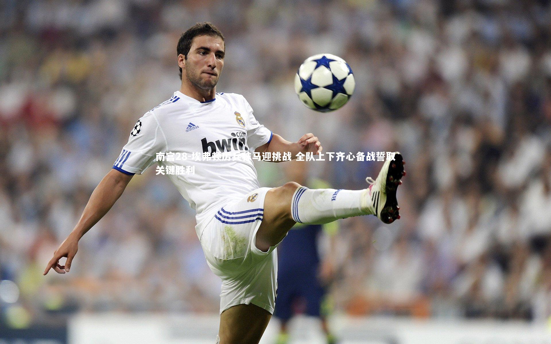 南宫28-埃弗顿厉兵秣马迎挑战 全队上下齐心备战誓取关键胜利-第2张图片-南宫28 南宫28-埃弗顿厉兵秣马迎挑战 全队上下齐心备战誓取关键胜利-第2张图片-南宫28